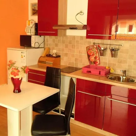 Sea View With Terrace Kitchen * Opatija